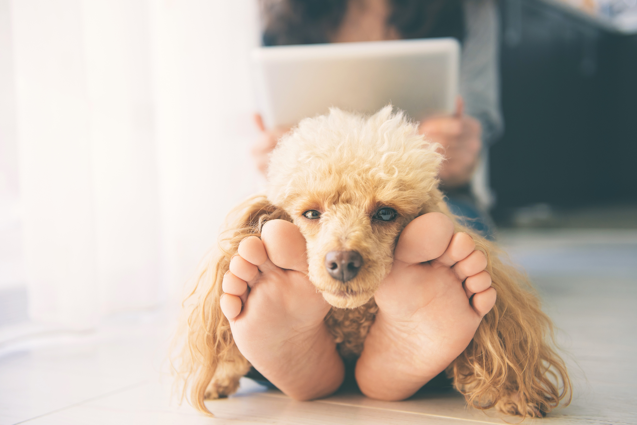 Do Insurances Cover Podiatry in Singapore?