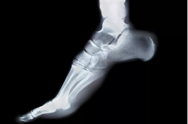 How many bones are there in the human foot?